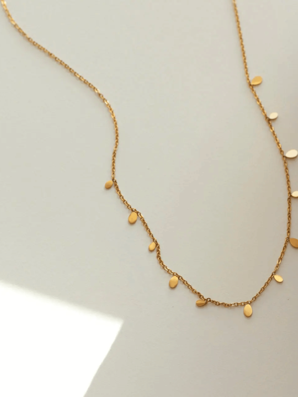 Collier Petit Ovale en Acier Inoxydable - Image 2